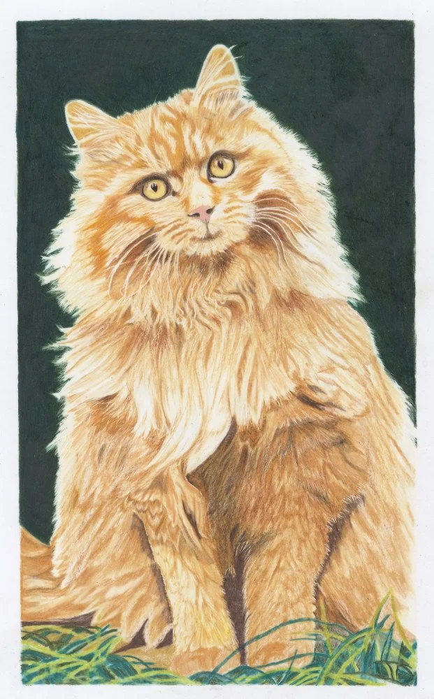 Ginger-Cat-Siobain-OBrien-Art.jpg