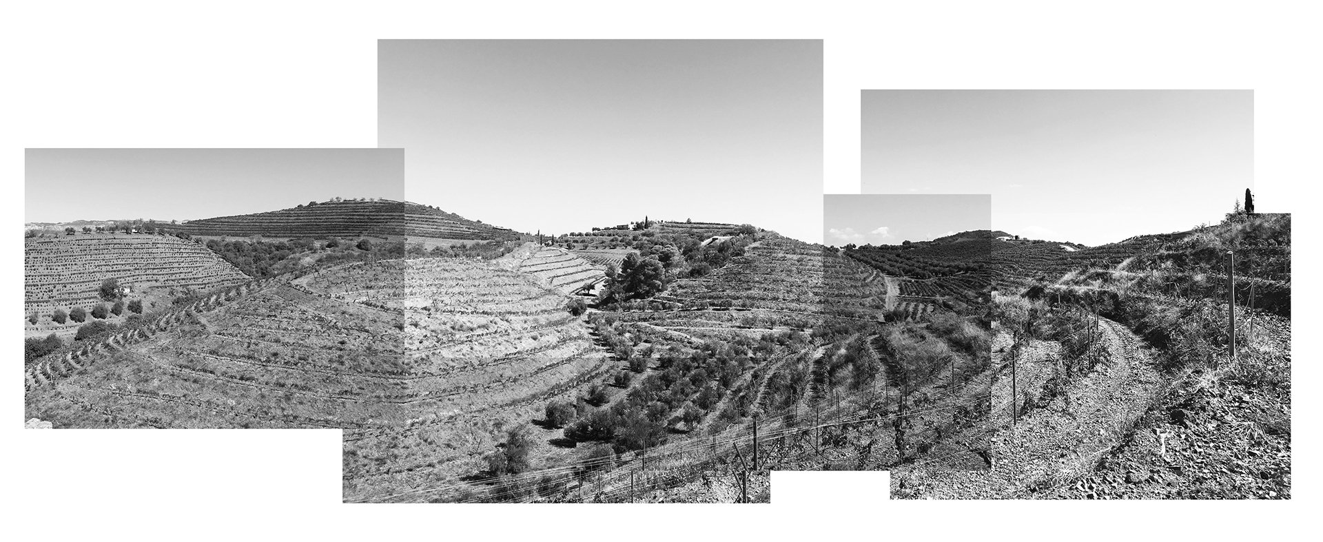 Ferusic Architects, Relja Ferusic, Site