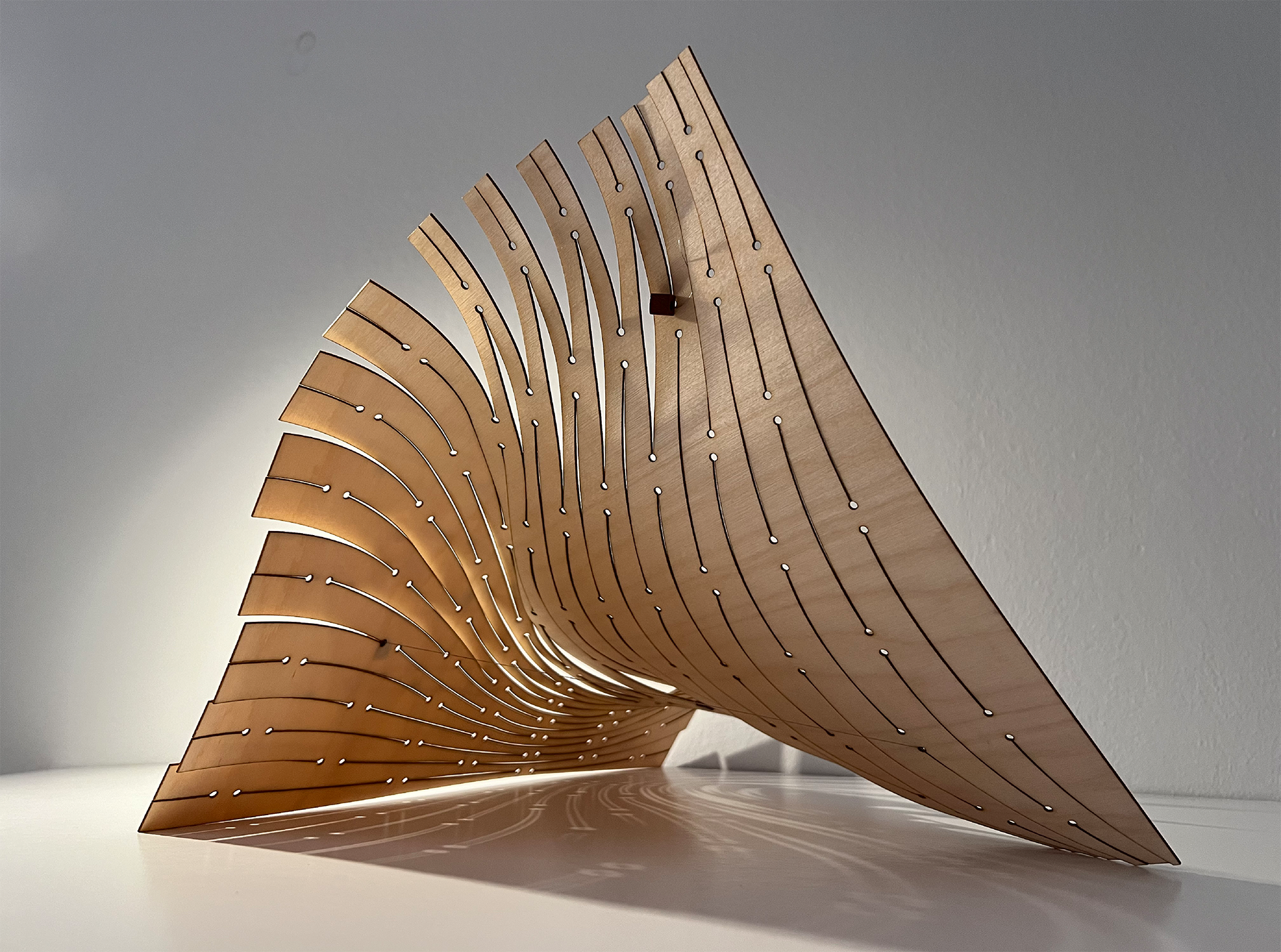 Ferusic Architects, Relja Ferusic, ETSAB UPC LAC