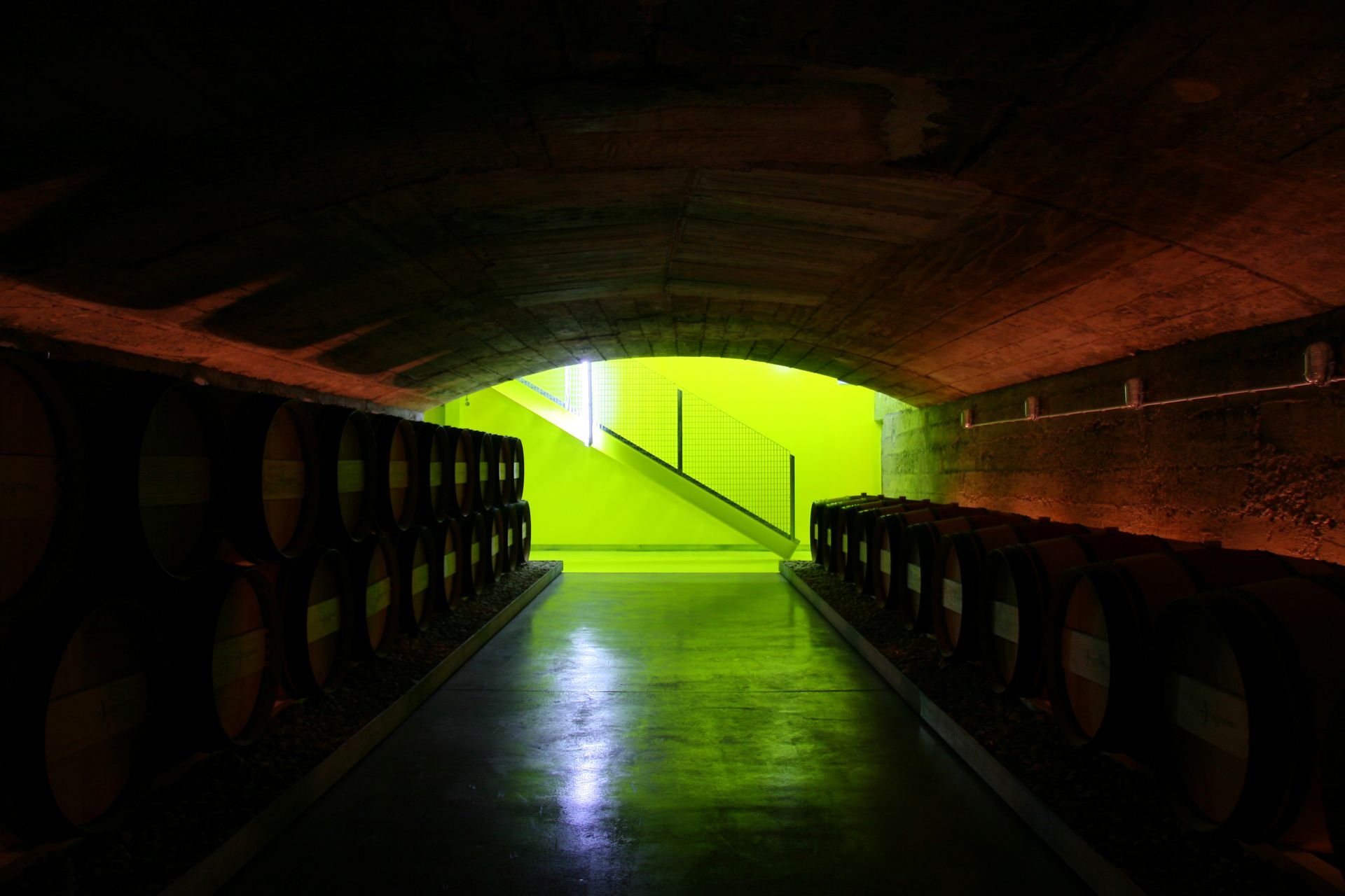 Ferusic Architects, Relja Ferusic, Lagravera Winery Alfarràs