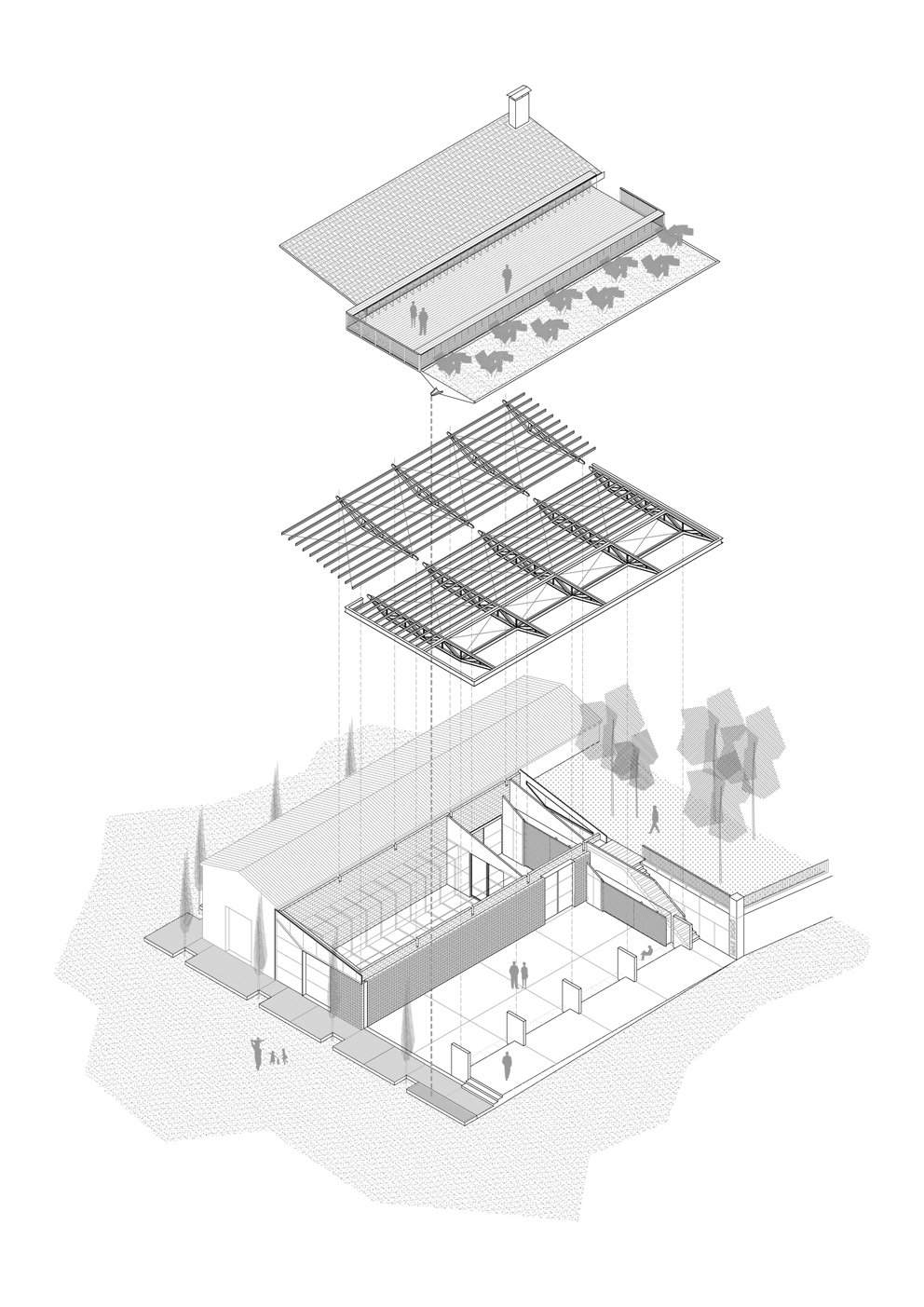 Ferusic Architects_Ingravitis_Plan-1.jpg
