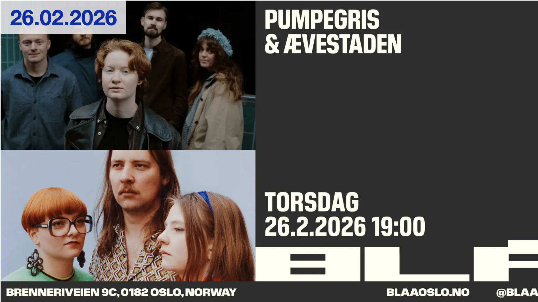 Ævestaden + Pumpegris: BLÅ