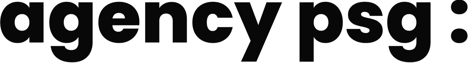 agency psg