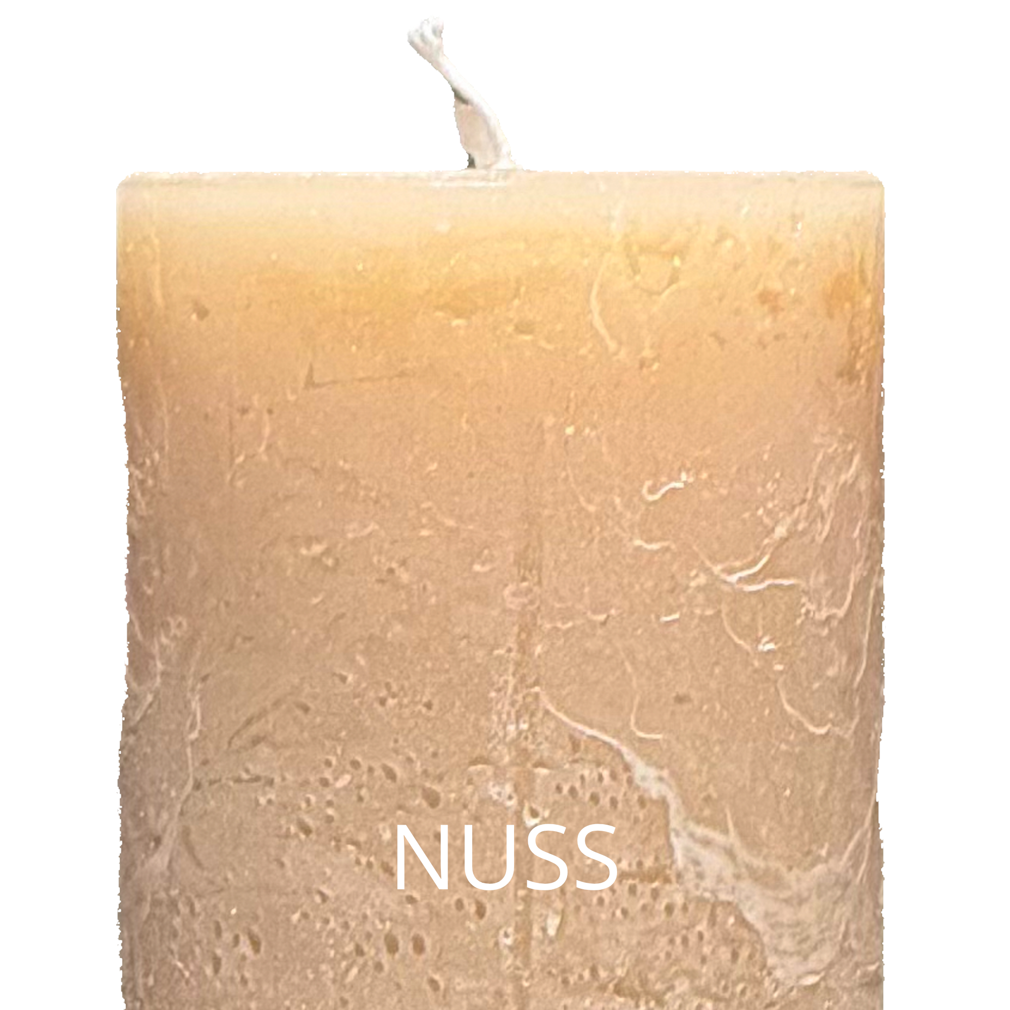 Nuss.png (Kopie) (Kopie) (Kopie) (Kopie) (Kopie)