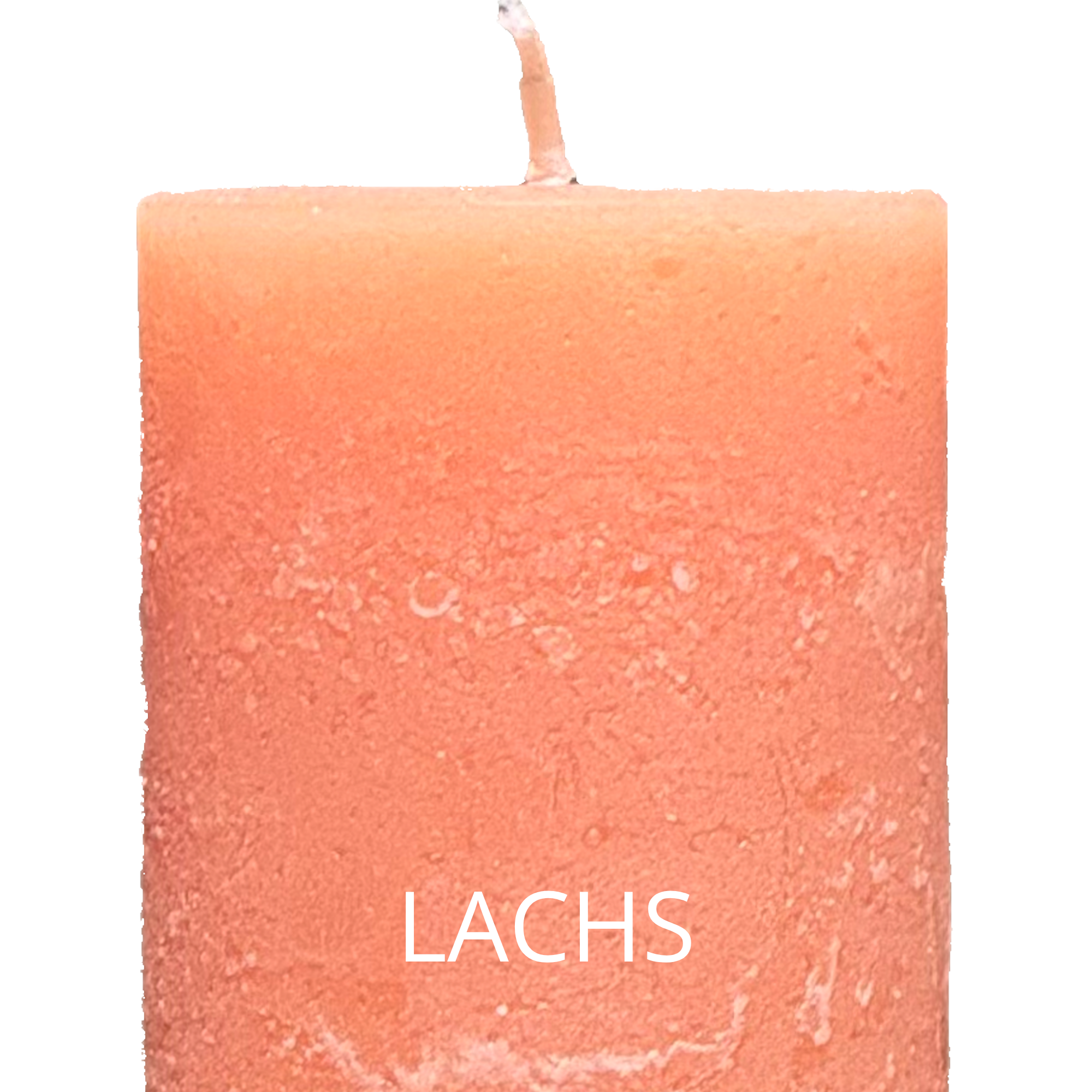 Lachs.png (Kopie) (Kopie) (Kopie) (Kopie) (Kopie)