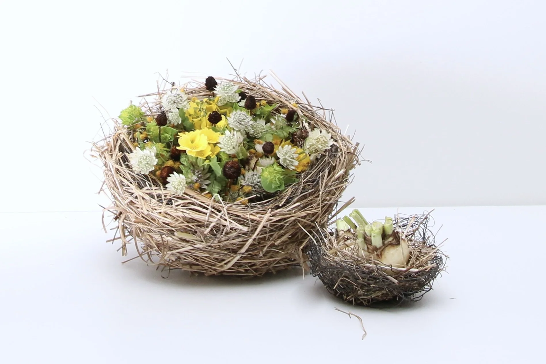 Kurs 'Ich baue mir mein Osternest' | 07. März 2027 | 14-16Uhr | Aarau