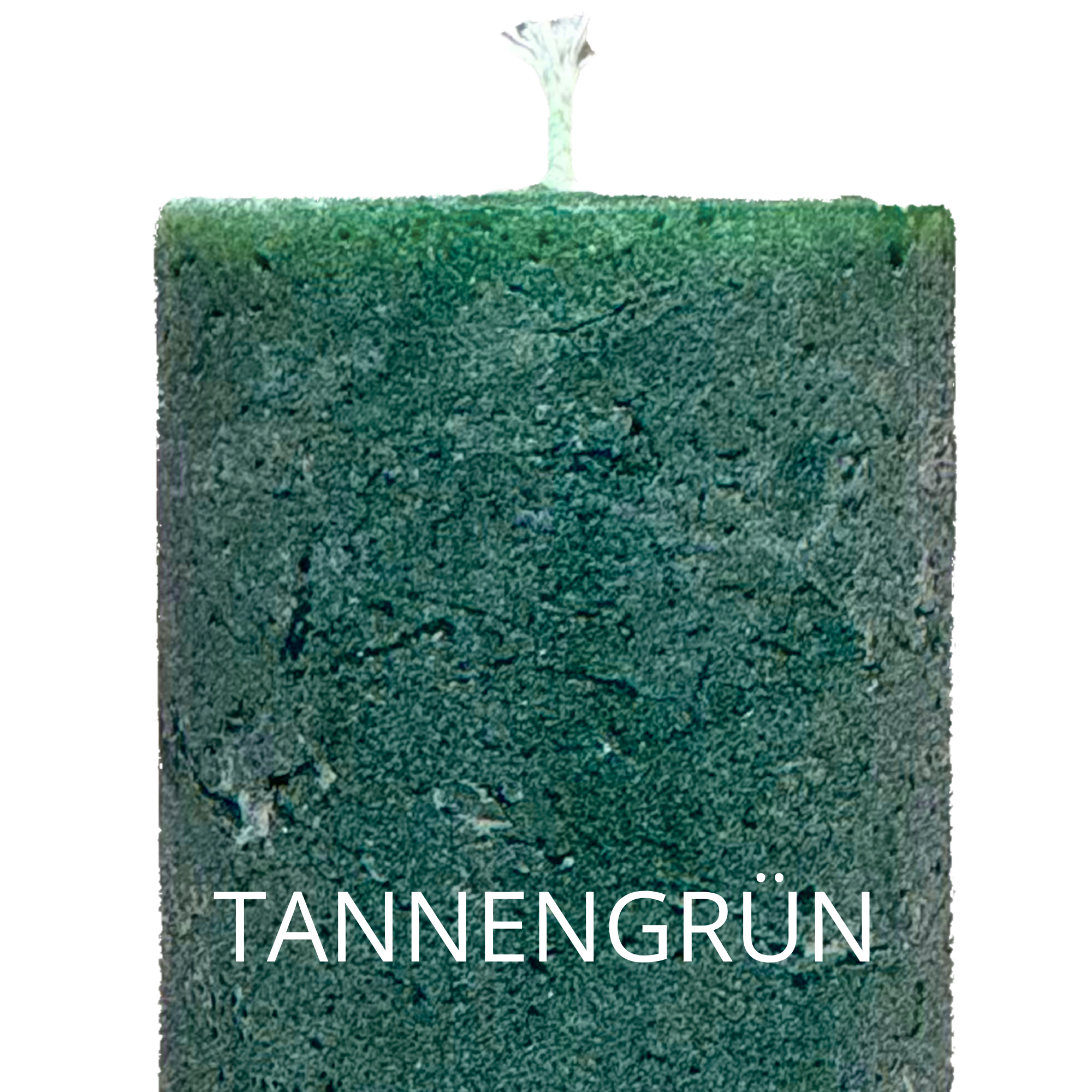 Tannengrün.png (Kopie) (Kopie) (Kopie) (Kopie) (Kopie)