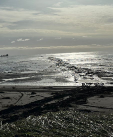 Coastal Alaskan terrain with reflective water and shoreline textures; links to the ‘About Us’ page outlining collaboratory groups, researchers, and goals, with Colby College noted as a collaborator.