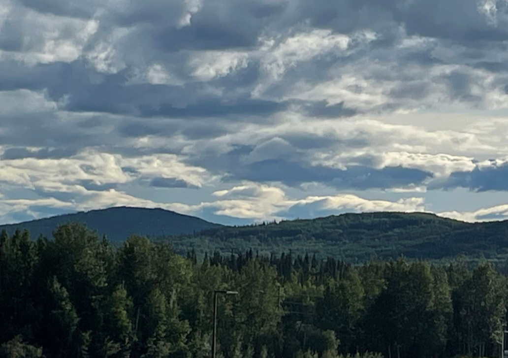 Forested Alaskan landscape with mountains and dramatic sky; links to the ‘About Us’ page outlining collaboratory groups, researchers, and goals, highlighting community researchers as collaborators.