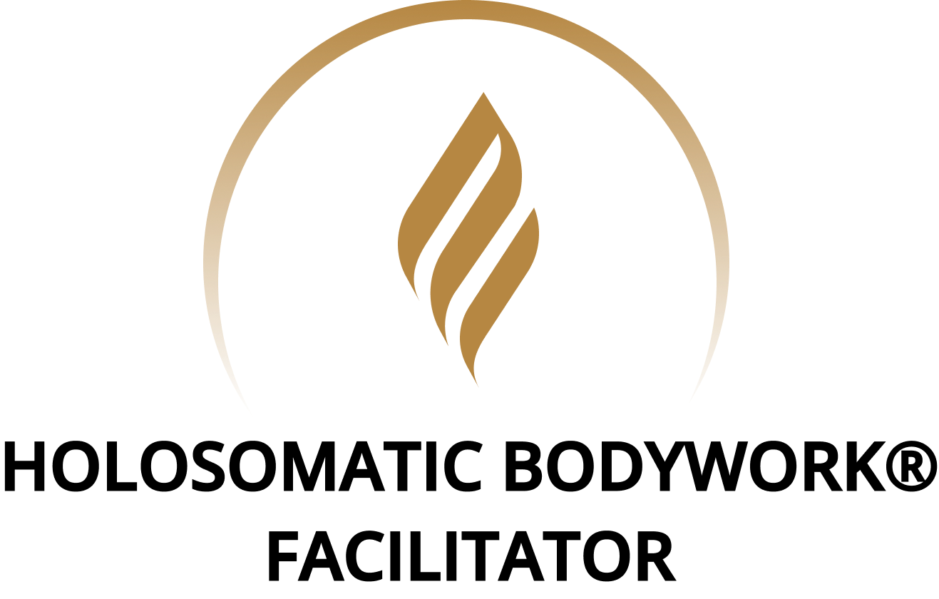 Logo with a circular design featuring a stylized mountain or river scene, and the words 'The American River Stairway' underneath.