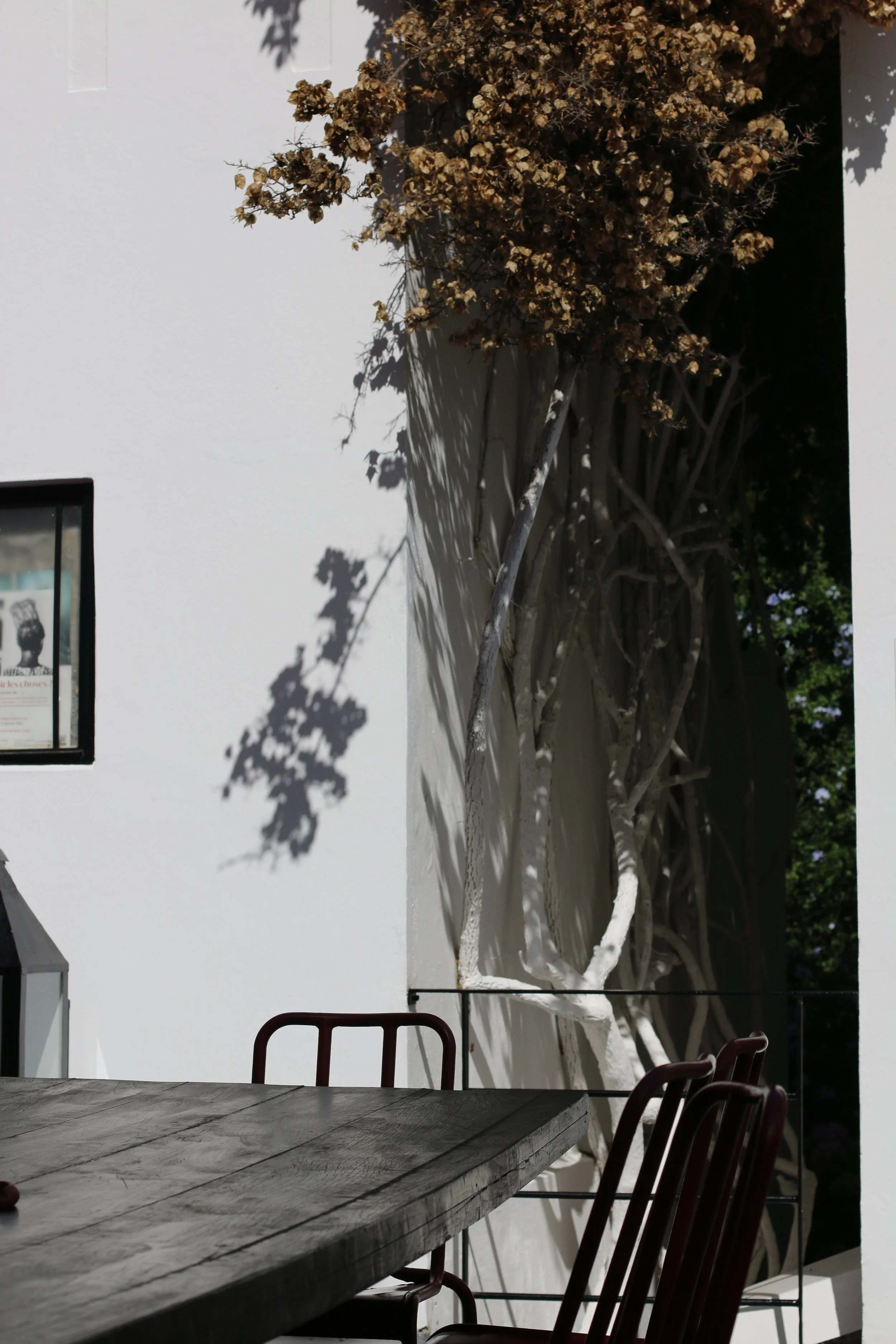 Un mur blanc avec une fenêtre et une grande plante sèche avec des branches et des fleurs fanées, créant une ombre sur le mur. Une table en bois avec des chaises autour est visible en premier plan.