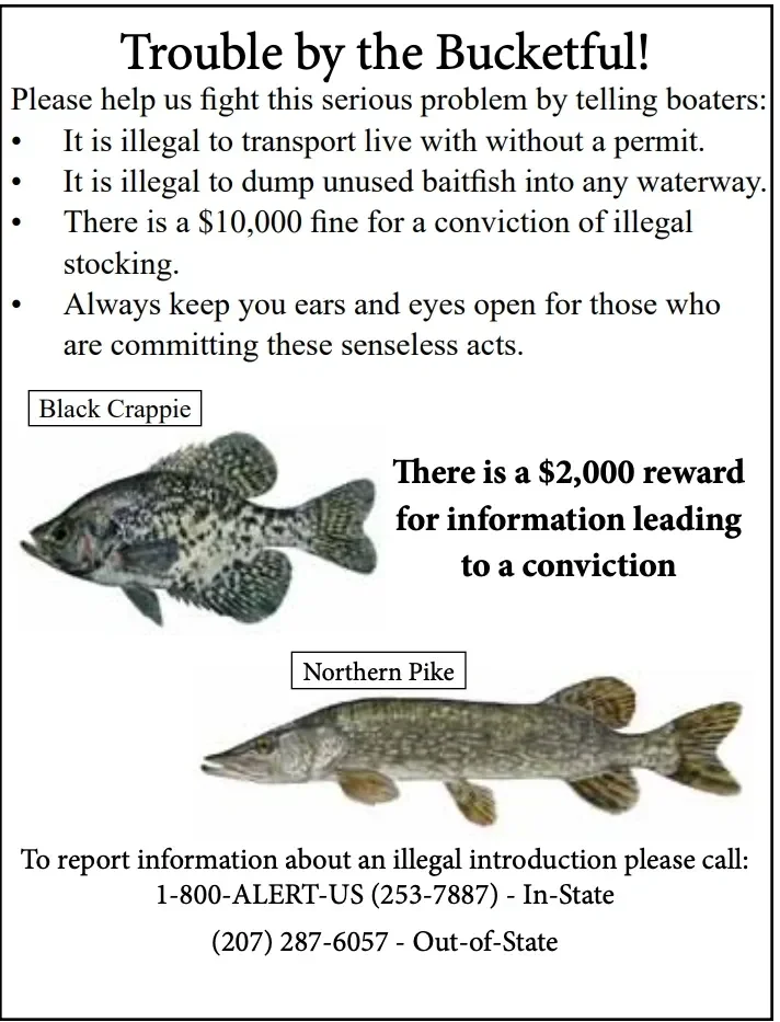 Fishing laws and rules poster