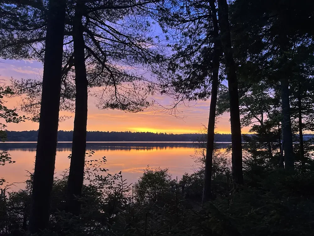 Sun setting between pine trees at Toddy Pond