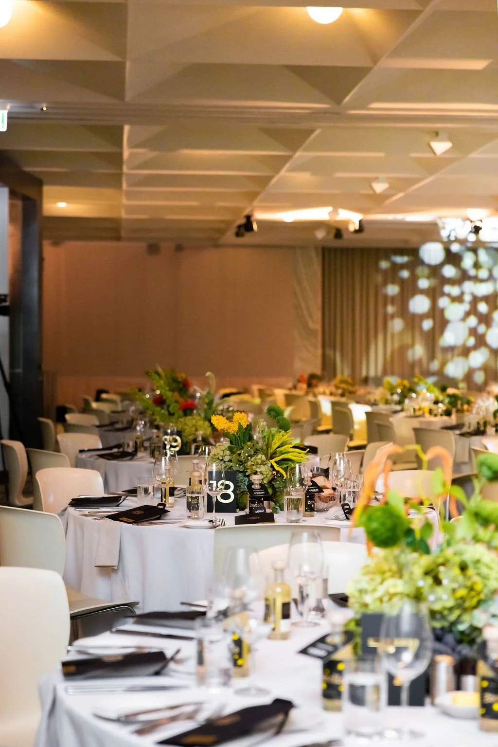 IMAGE-133 (1) (1).JPG