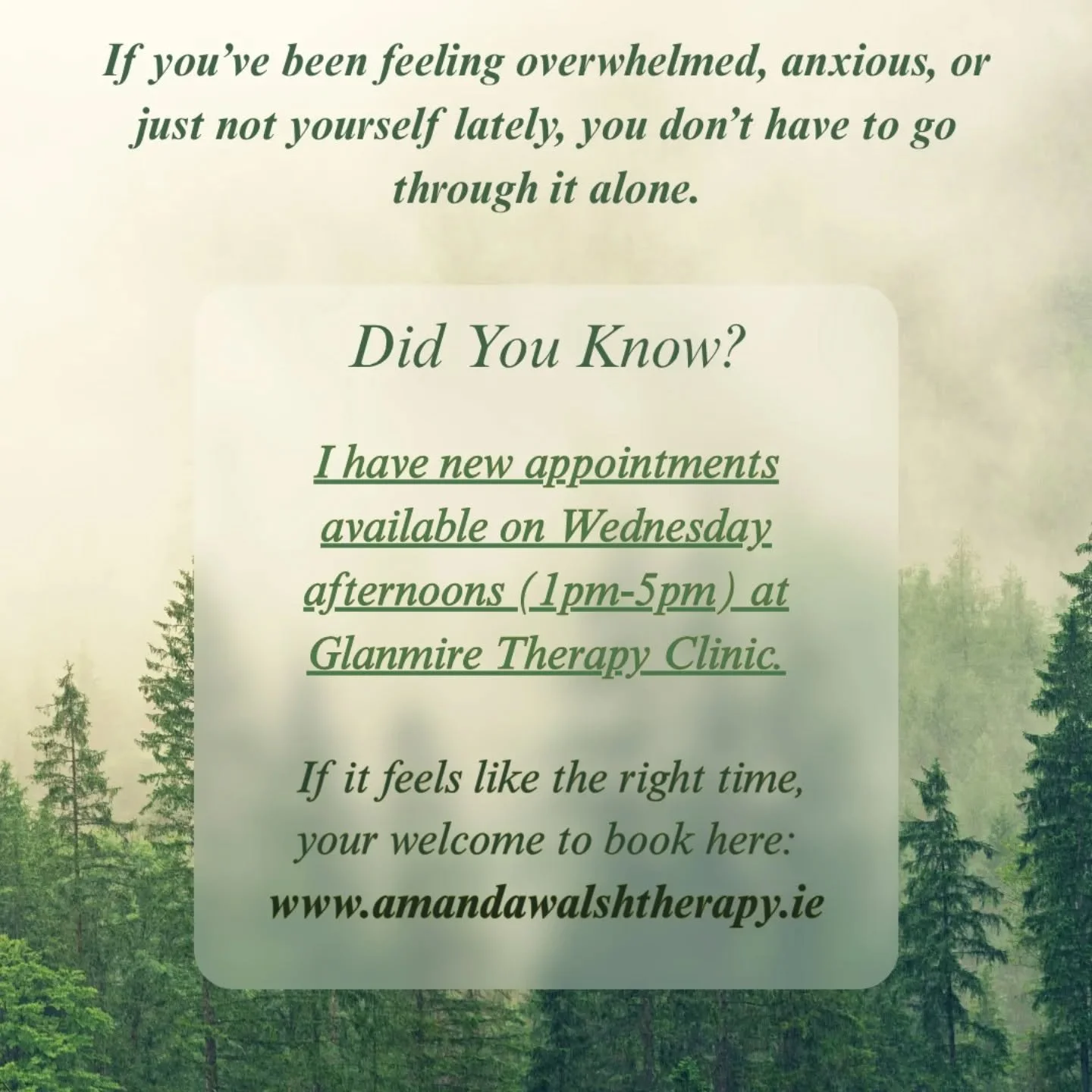 * New Appointment times available!*

In addition to my in-person Wednesday morning appointments, I'm now offering new Wednesday afternoon sessions (1pm-5pm) at @glanmiretherapyclinic

Are you carrying a lot lately - stress, grief, anxiety, past traum