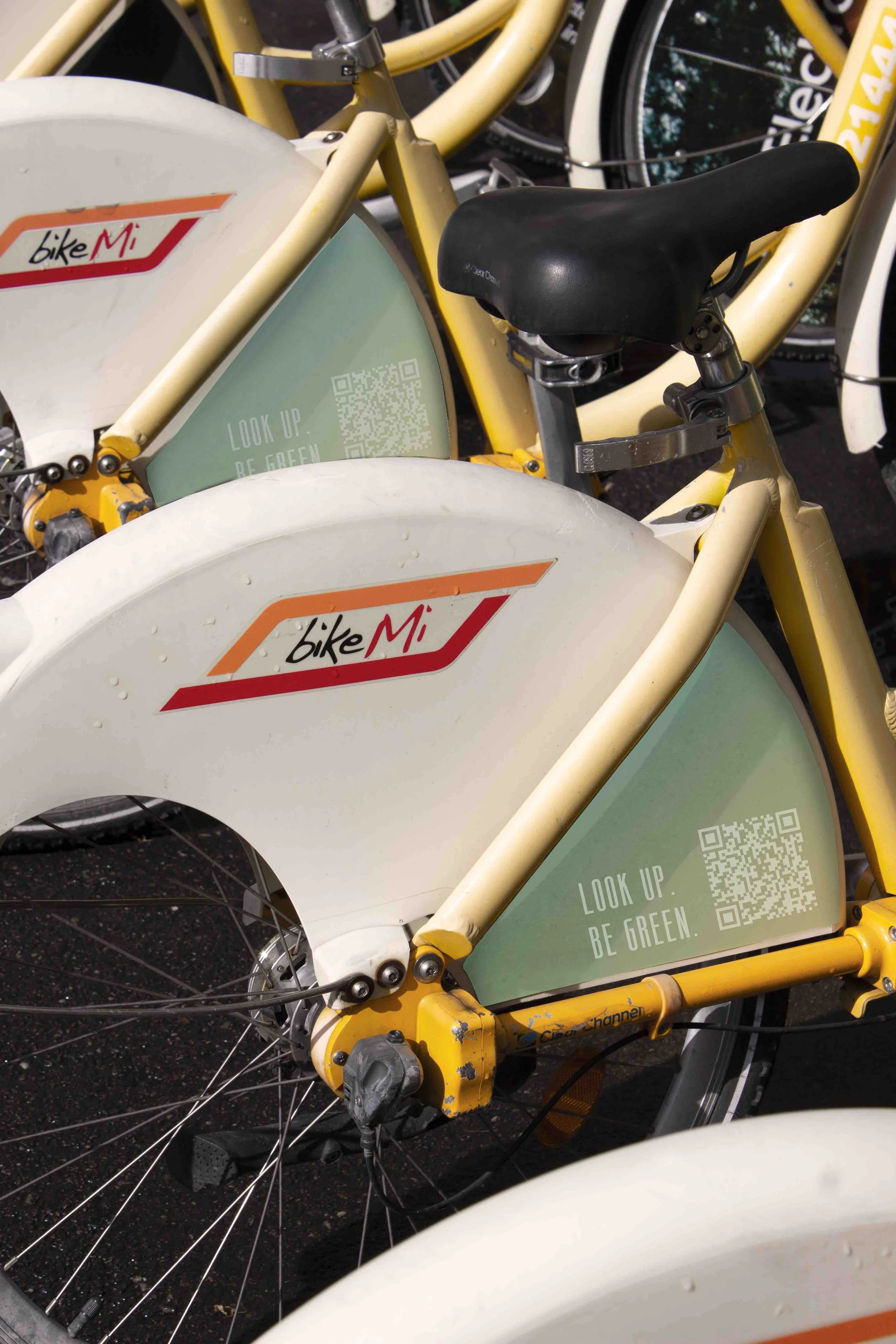 dettaglio payoff.jpg