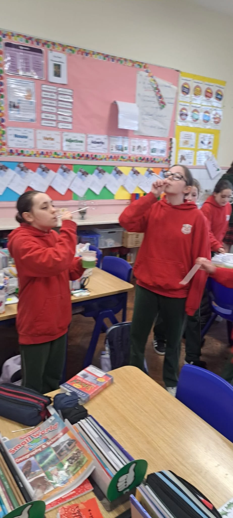 WhatsApp Image 2026-02-11 at 14.49.47.jpeg