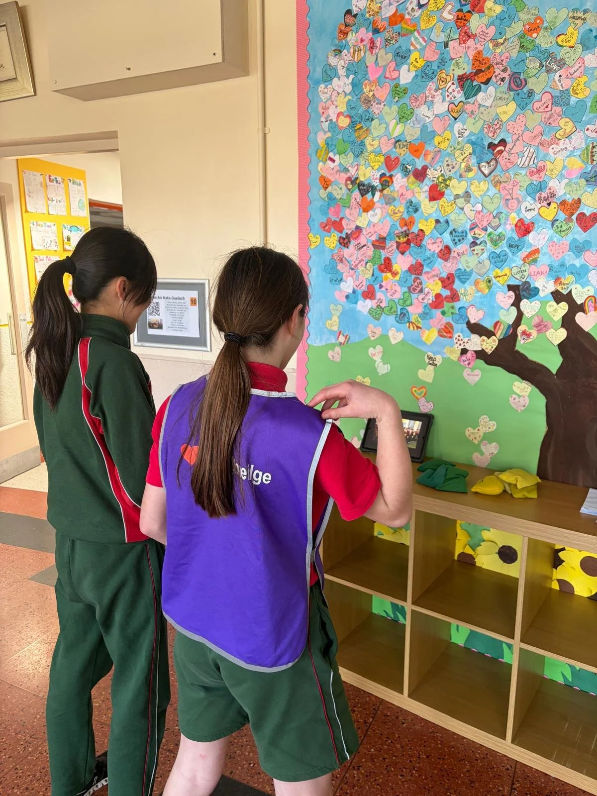 WhatsApp Image 2026-03-11 at 11.42.25.jpeg