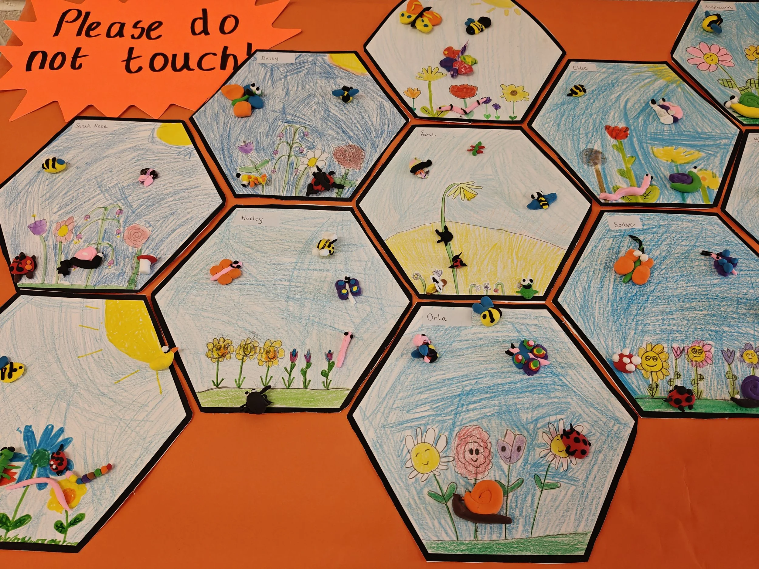 IMG20260327114913.jpg