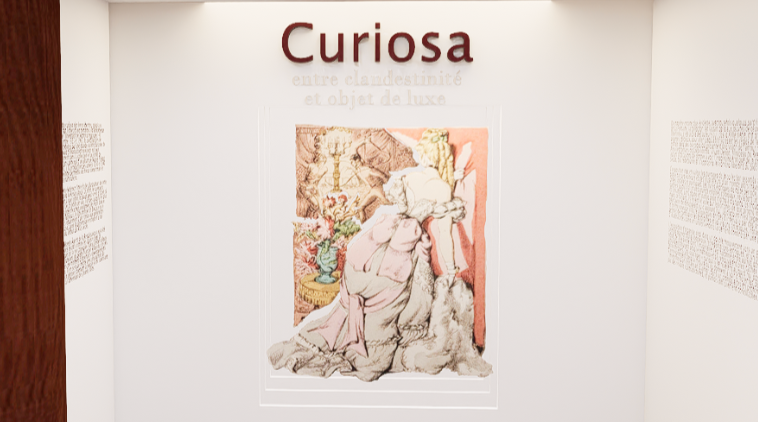 Curiosa