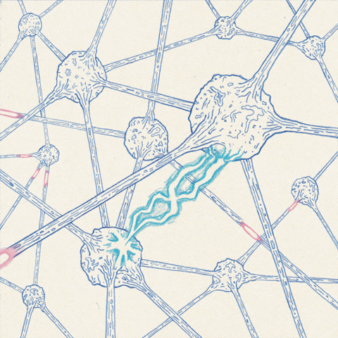 Illustration of interconnected neurons with electrical signals traveling between them.