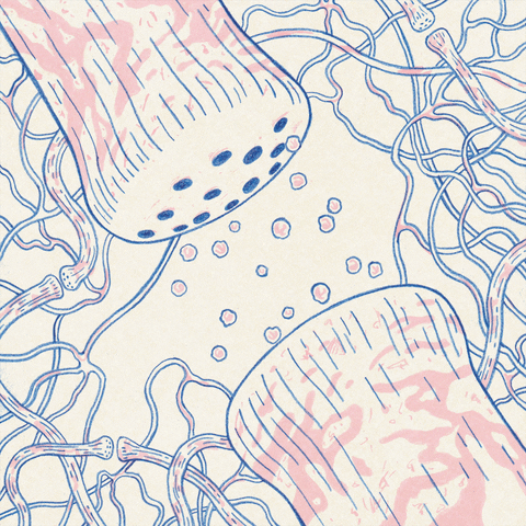 Illustration of a microscopic view showing bacteria and other microorganisms with flagella.