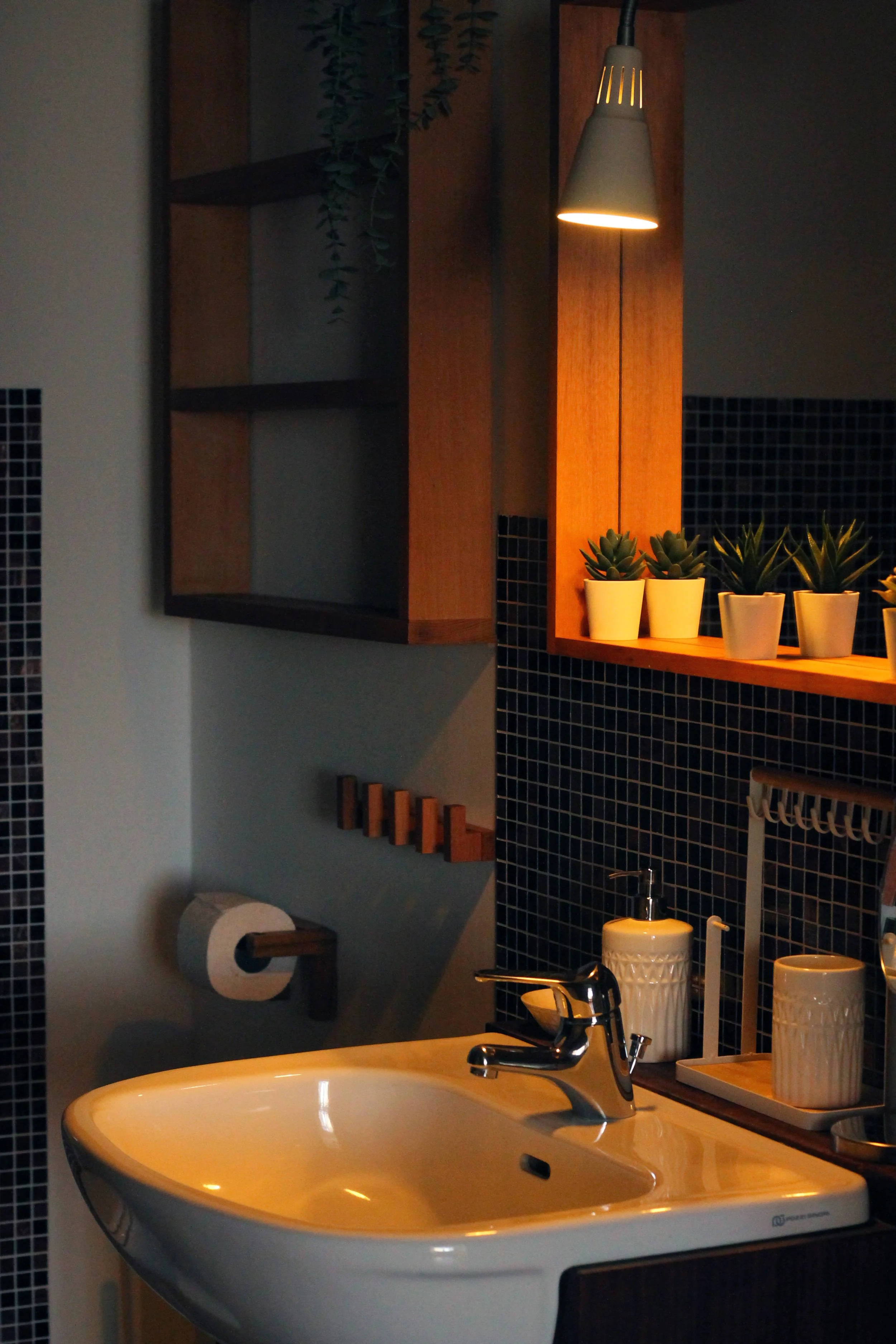Lavandino con rubinetto in un bagno con pensili di legno, piante succulente in piatti bianchi, dispenser di sapone, bicchieri e un porta carta igienica, illuminato da una lampada