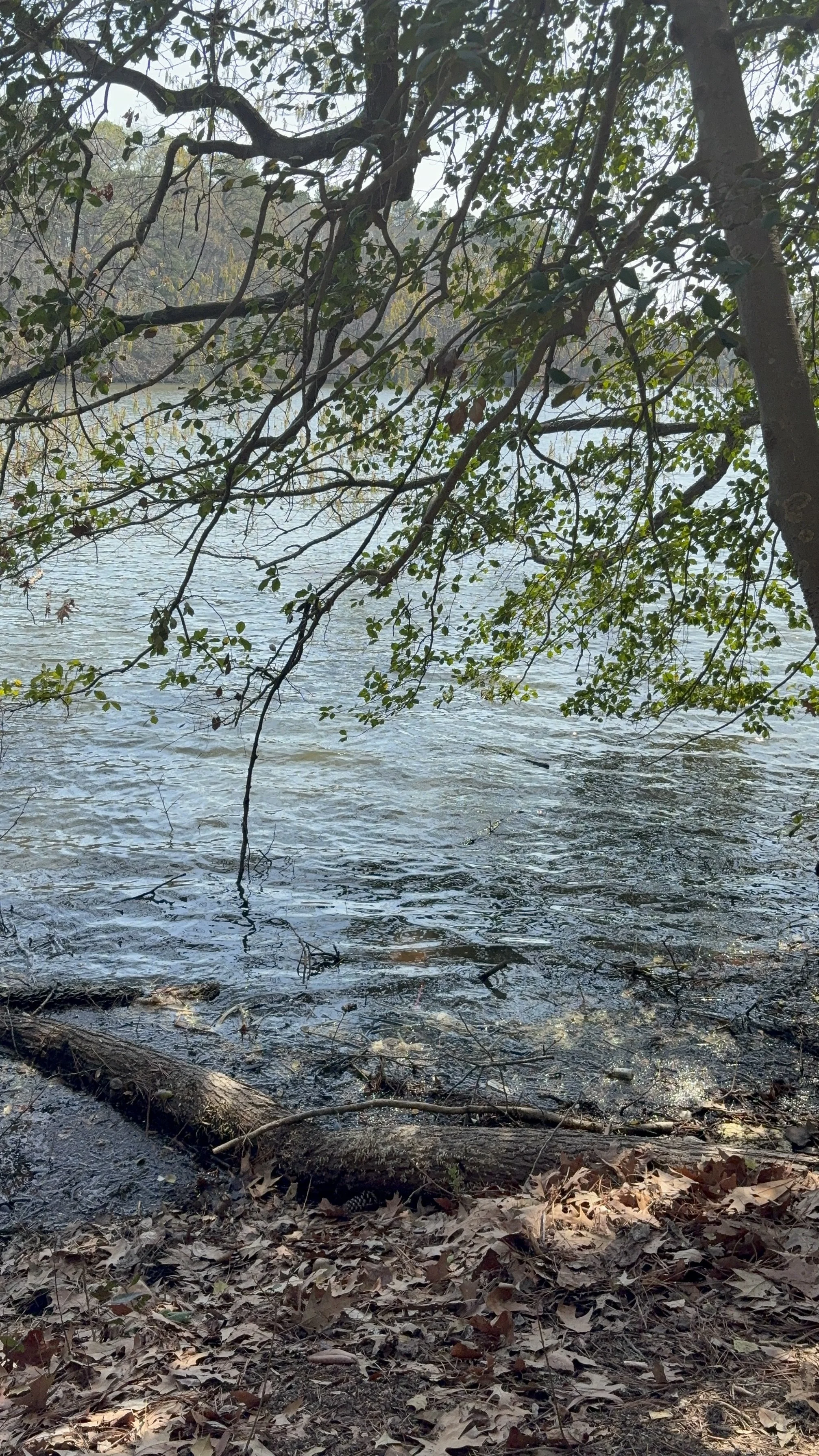 I saw unions divinely orchestrated by God