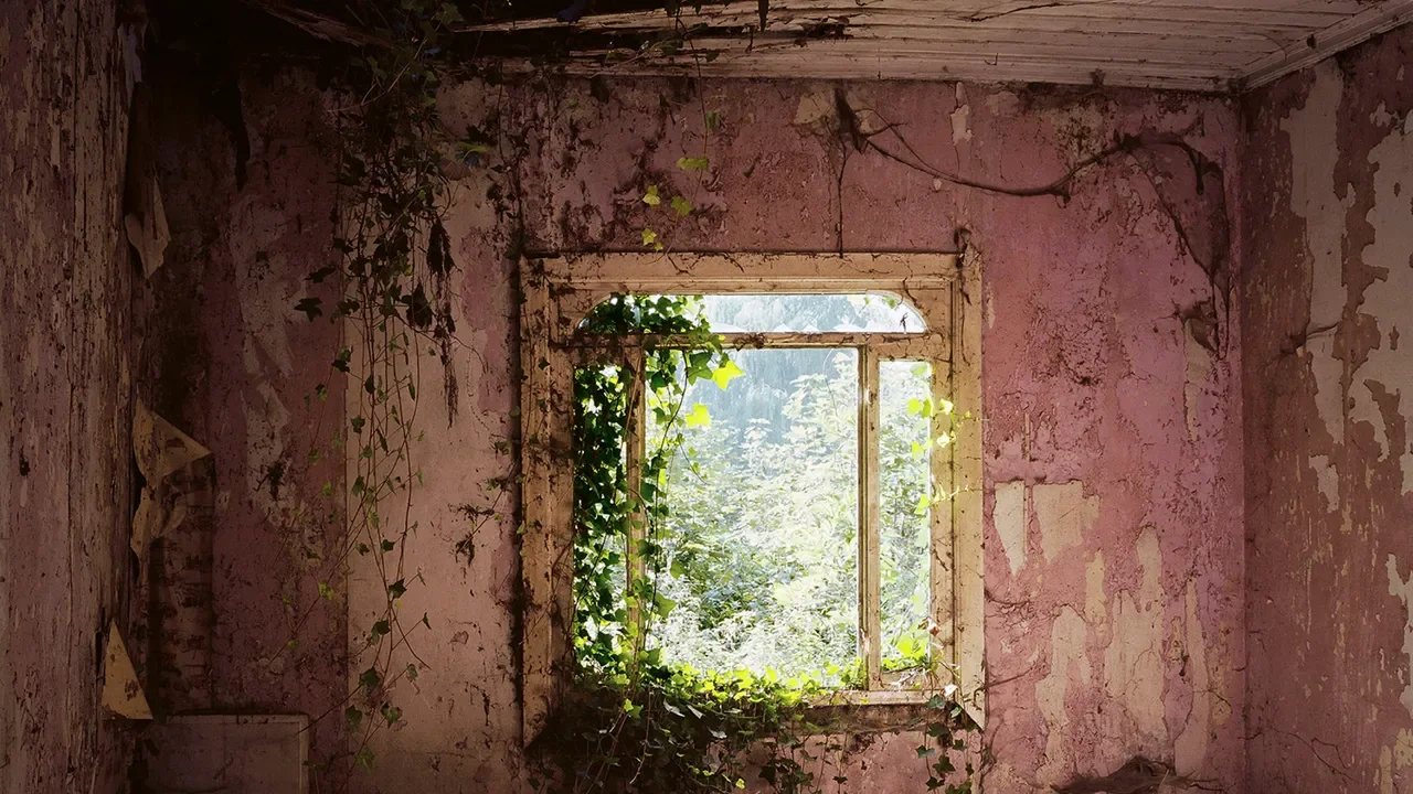 Space & Energy Clearing