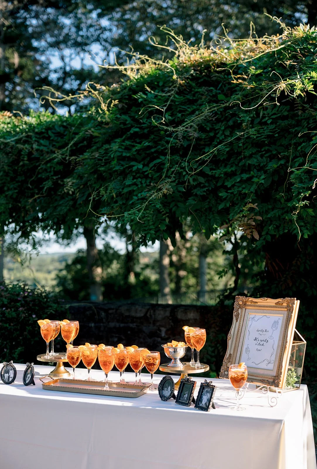 Cait Fletcher Photography Sneak Peeks-46.jpg