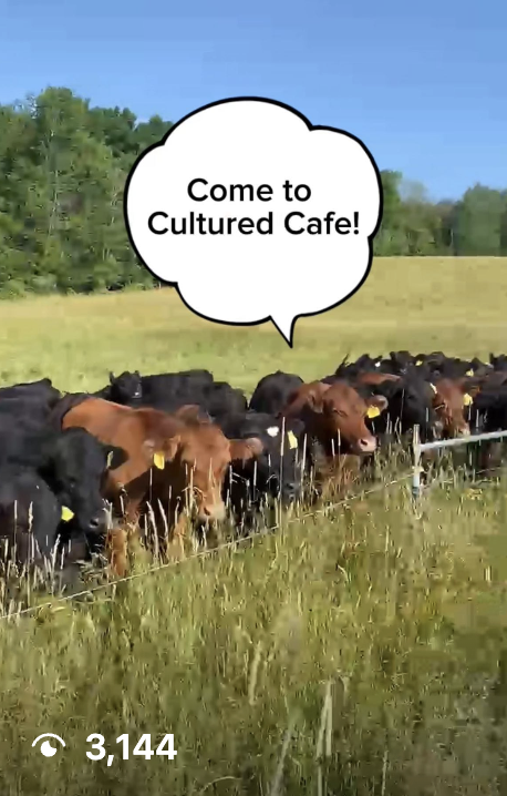 organic meat