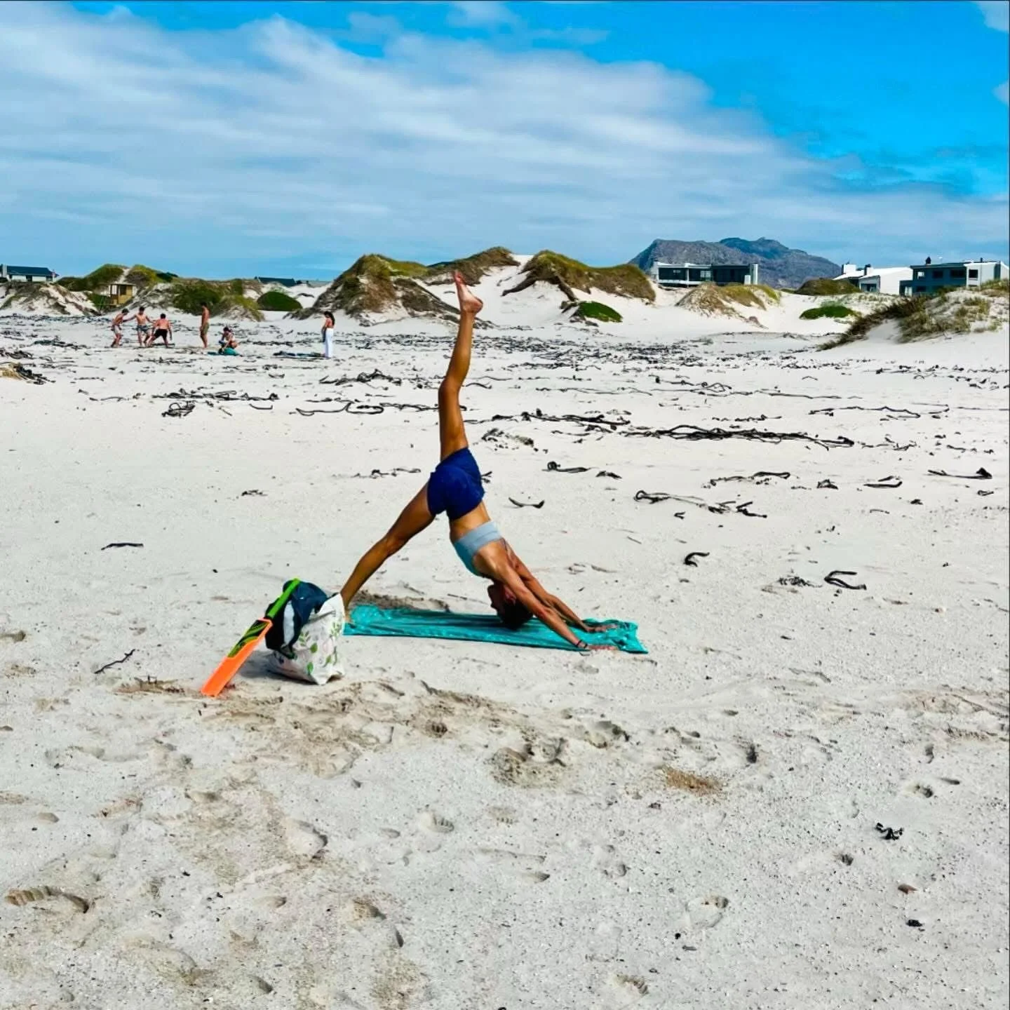 Three Legged dog on the white sands of Hout Bay Beach