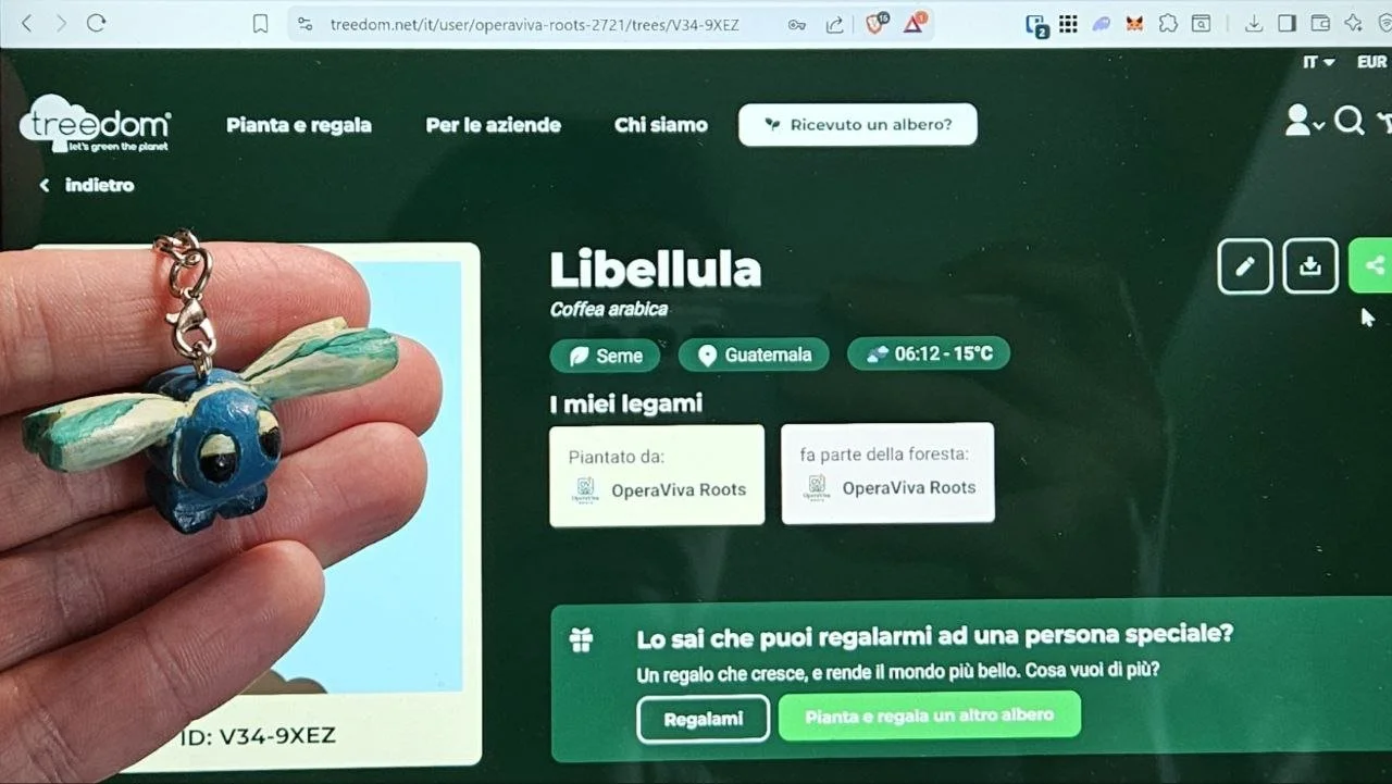 Collezione di un portachiavi o accessorio a forma di libellula in stile artigianale o di plastica.