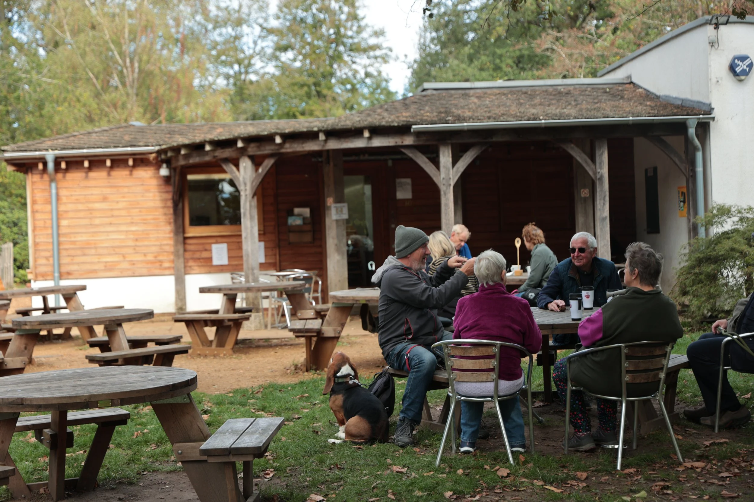 A group of older adults sitting at a picnic table outside a rustic wooden building, engaging in conversation and enjoying drinks, with a dog sitting nearby on the grass.