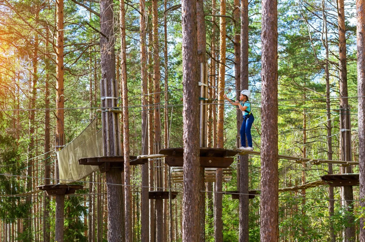 A young girl wearing a helmet and harness walking on a wooden suspended bridge in a dense forest filled with tall trees.