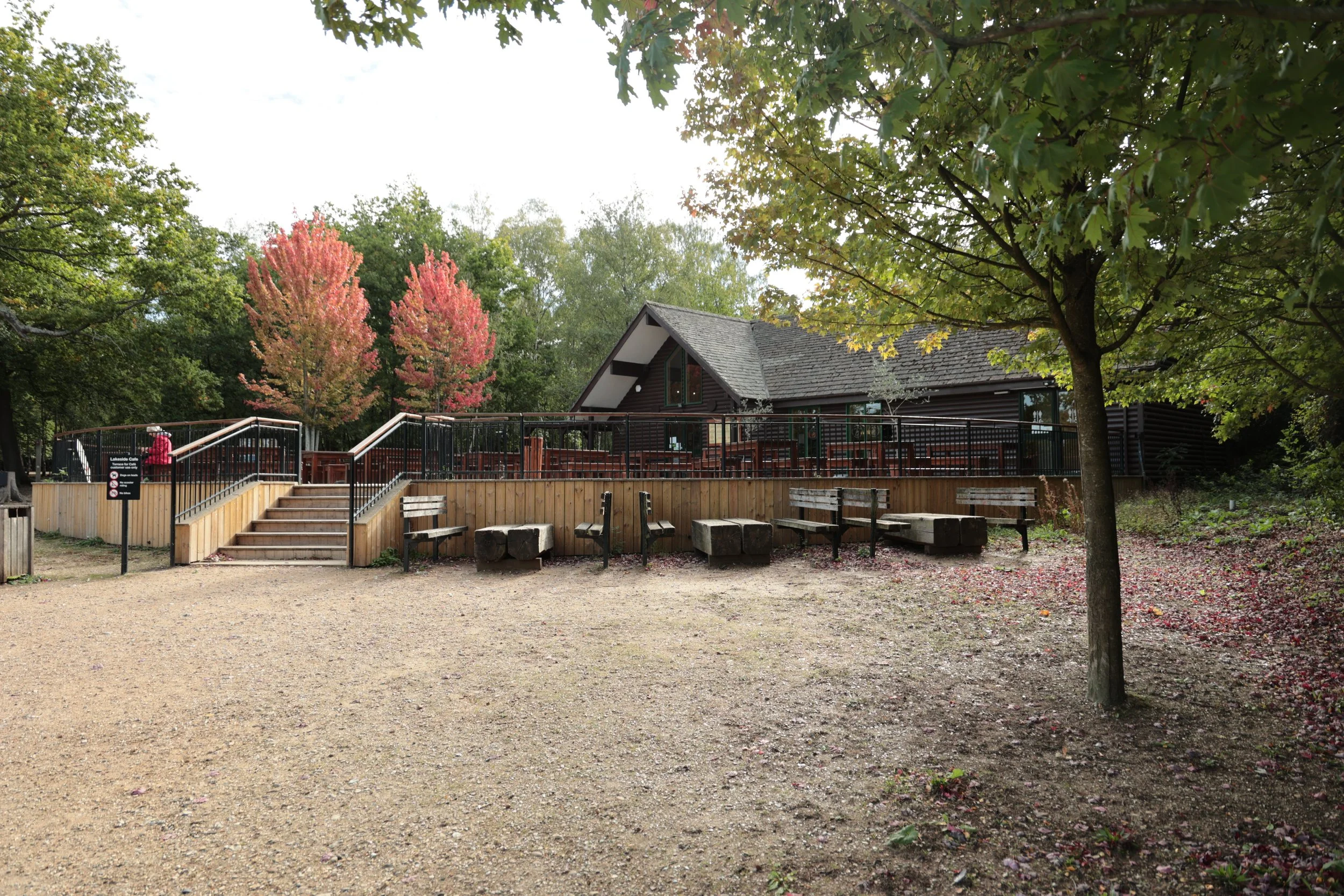 An outdoor park area with a house, trees with fall foliage, benches, and a gravel pathway.