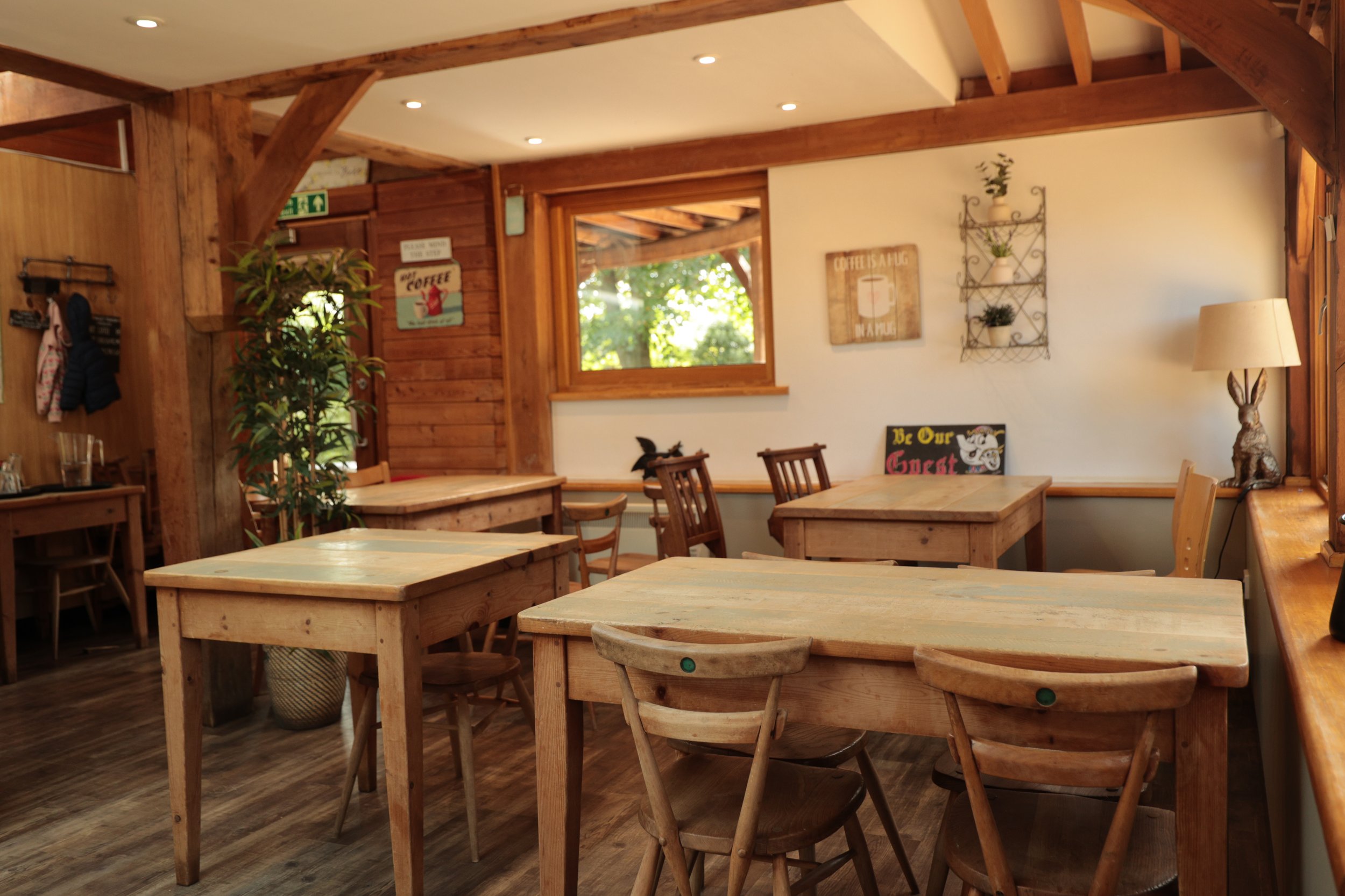 Interior of a cozy cafe with wooden tables and chairs, potted plants, decorative wall signs, and large windows showing greenery outside.
