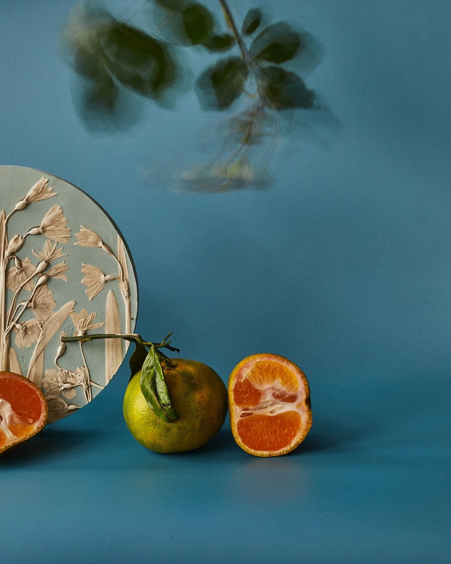 A little pop of colour for your feed🍊