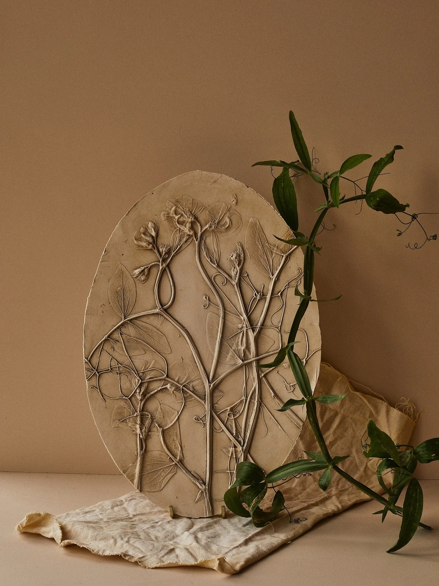 A before and after - wild sweet🫛