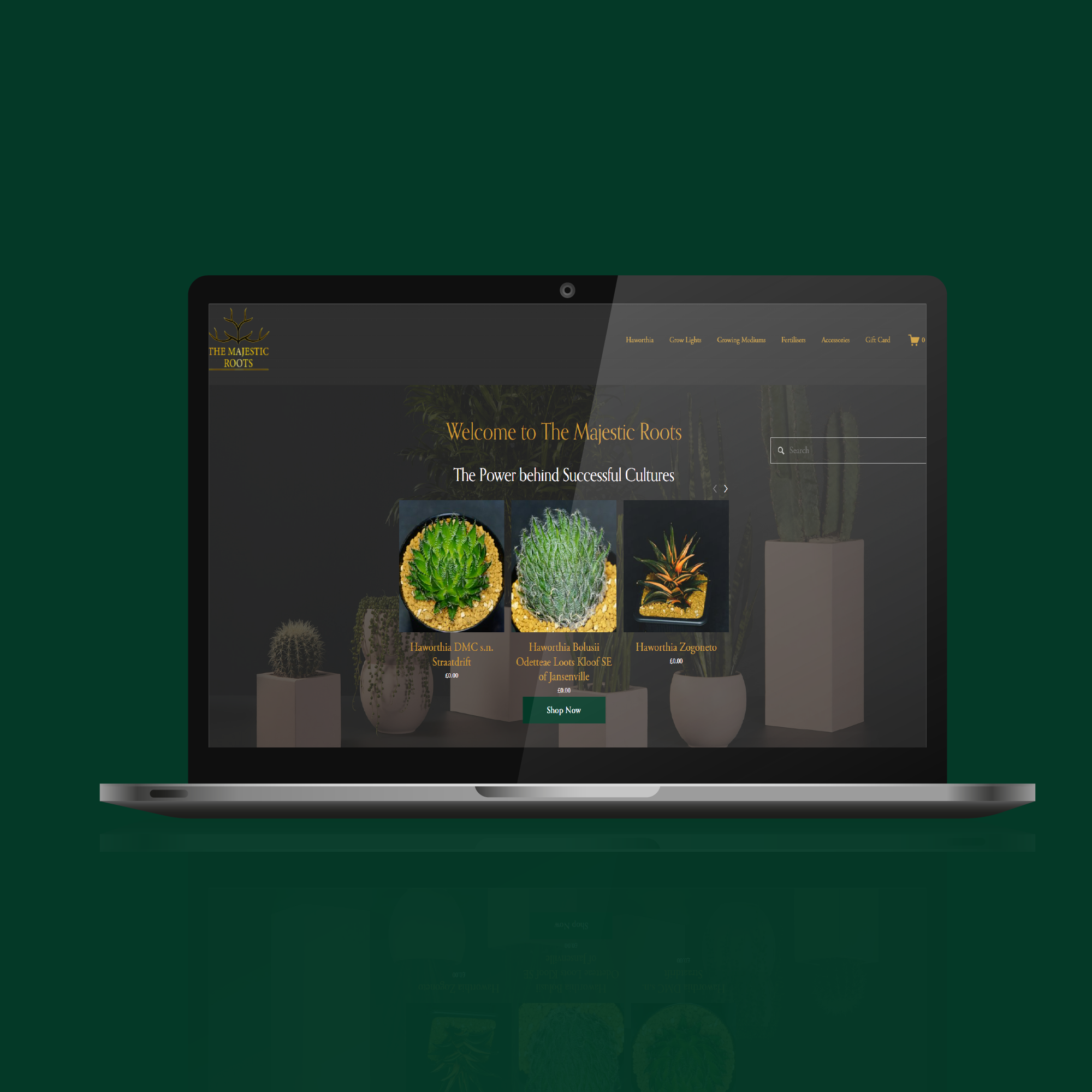 The Majestic Roots Ltd