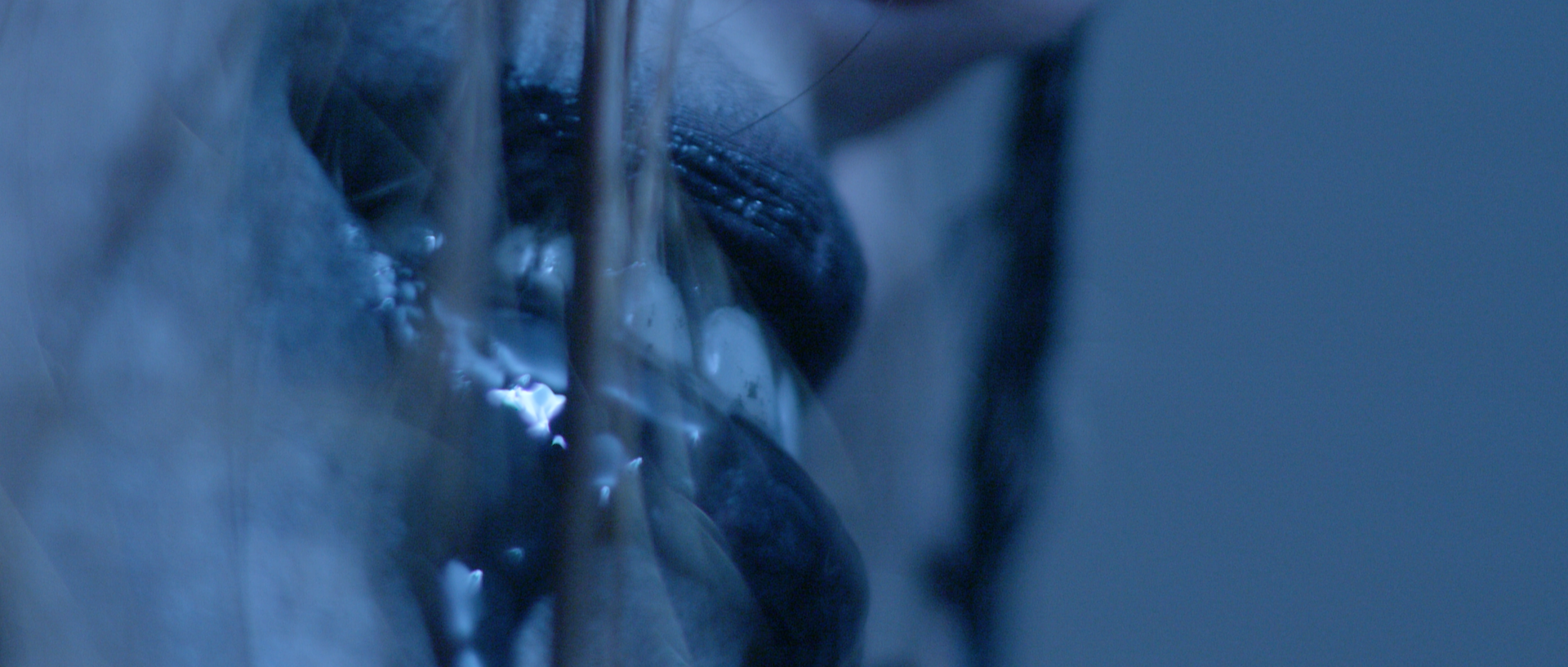 Ultimate timeline2.01_03_49_23.Still020.png