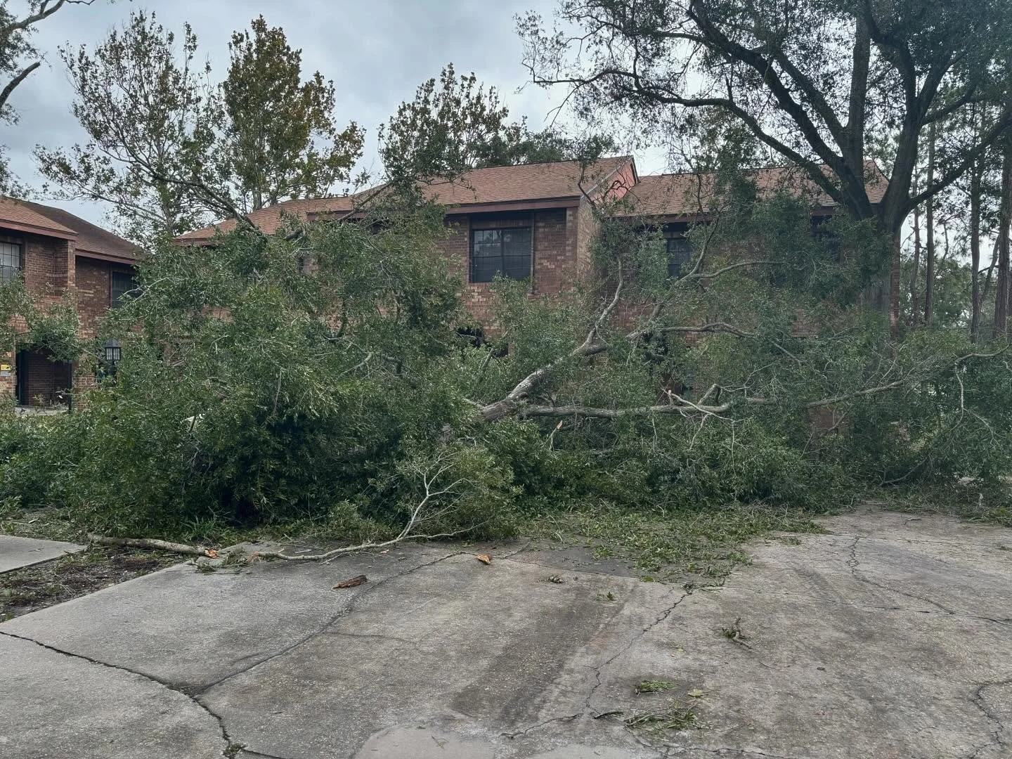 Our hearts go out to everyone affected by the recent storms. We recognize the widespread impact these events have had on so many lives and communities. While our office is currently undergoing cleanup to ensure a safe environment, we remain dedicated