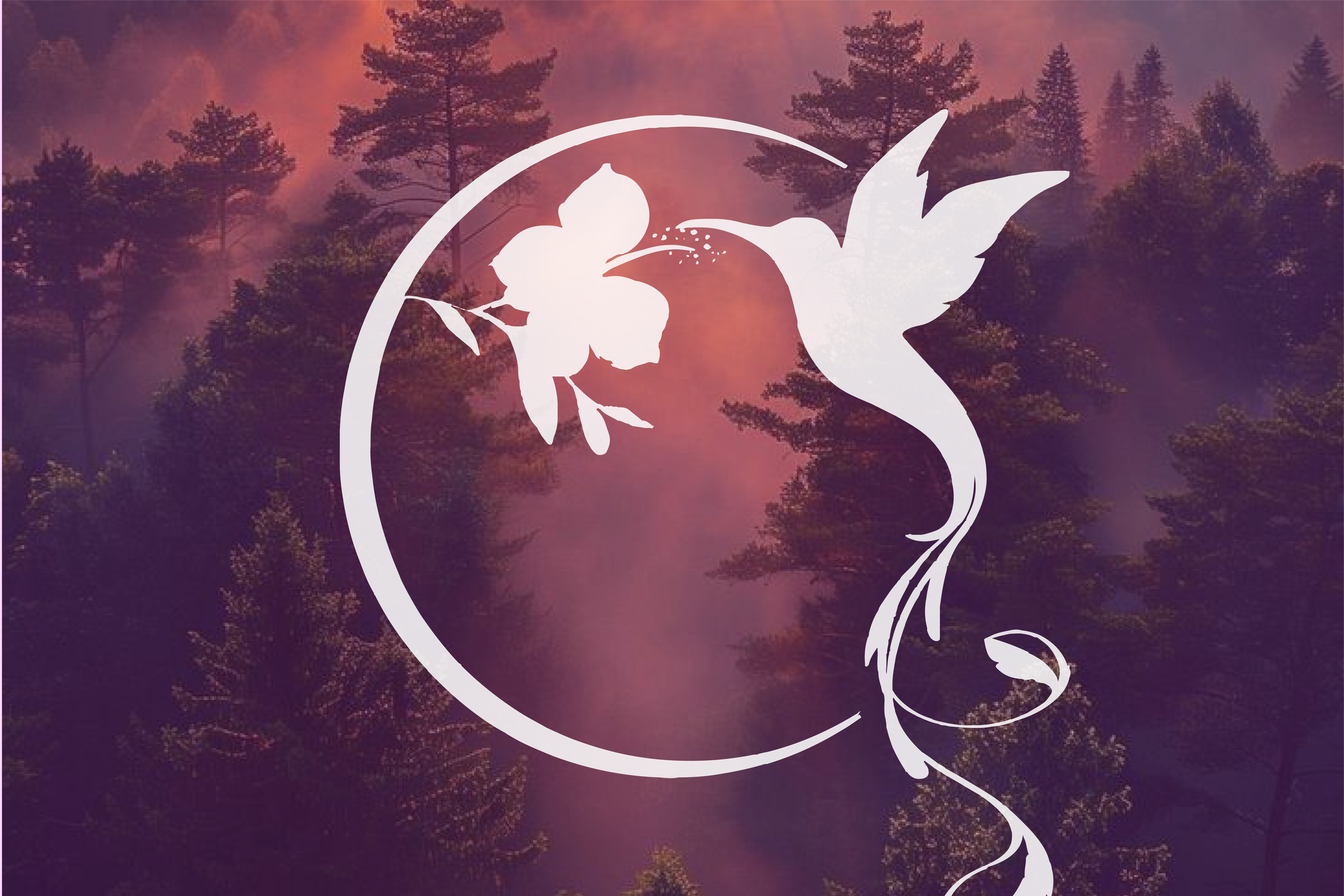 Artboard 11 copy 4@4x.png