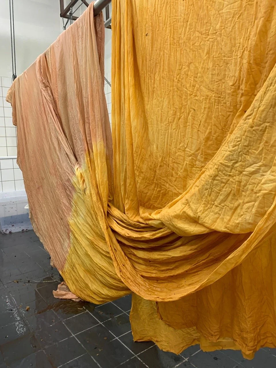 8d274c58-a370-4ee9-a151-b0cbcb7d4e1d Large.jpeg