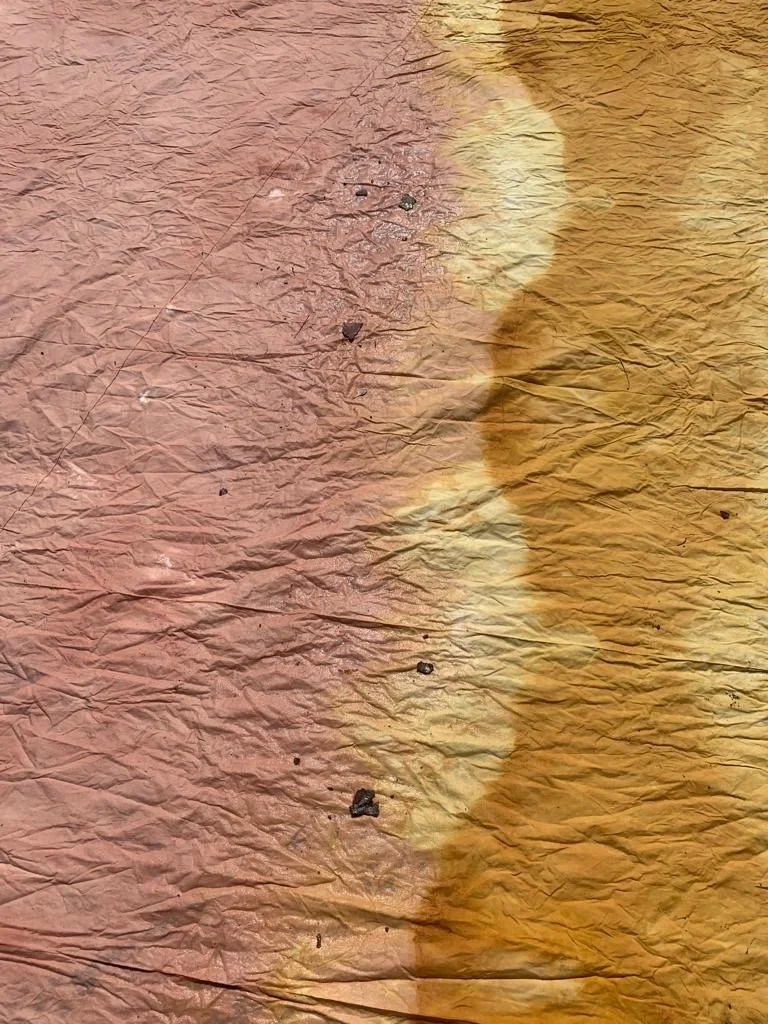 bdb568a3-ca14-4919-8e7e-27fc3d75ba85 Large.jpeg