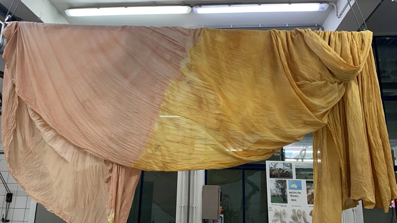 FB61A6F0-6A46-4097-AE50-30B34322C83B Large.jpeg