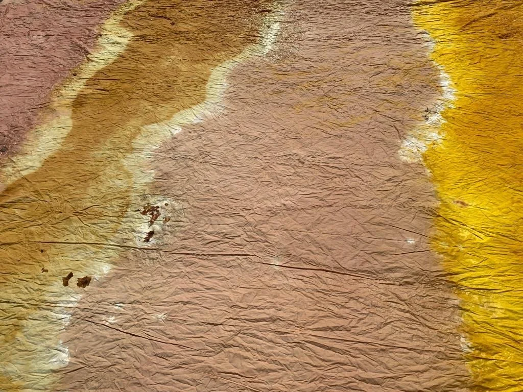 bb2ea137-541b-4f78-a329-aae410716e76 Large.jpeg