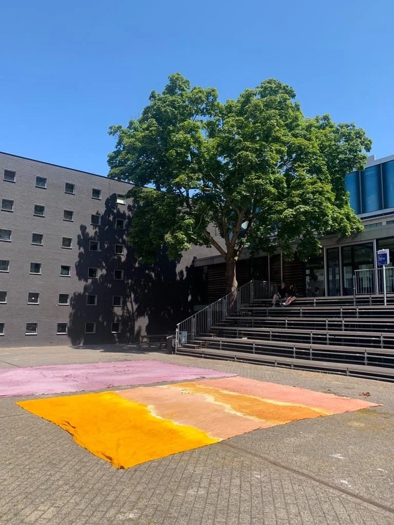 8f81b20a-ecae-4f76-aee4-fbbf07248b17 Large.jpeg