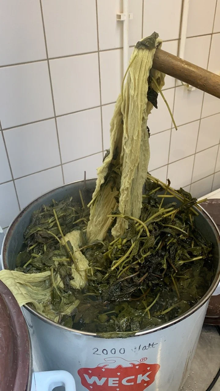 11DA7DDB-F7DE-4C21-BDCC-BC3F90956DEF Large.jpeg