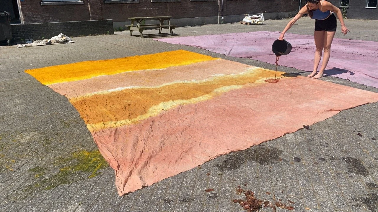 CD87EE78-EEC5-4D99-A0E3-7AE753BA17DE Large.jpeg